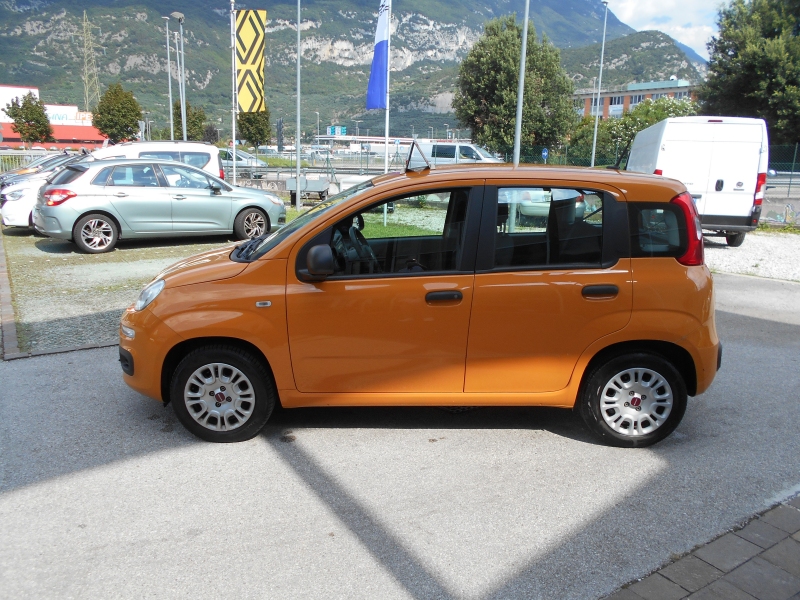 FIAT PANDA 1.2 Immagine 5