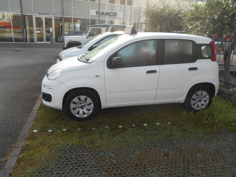 FIAT PANDA 1.2 Immagine 1