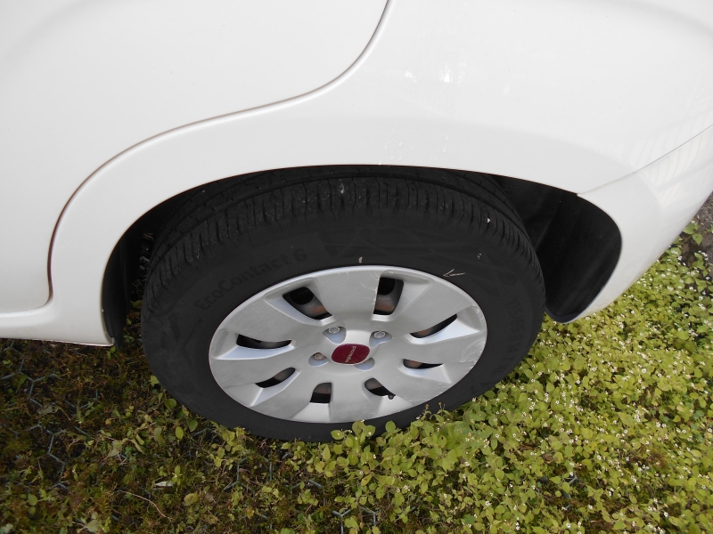 FIAT PANDA 1.2 Immagine 8